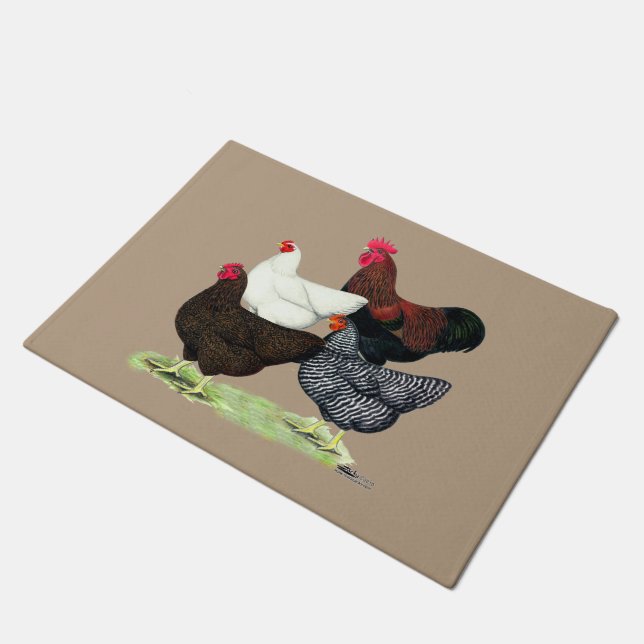 Tapete Plymouth Rock Quartet (Inclinado)