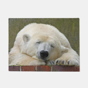 Tapete PolarBear 001