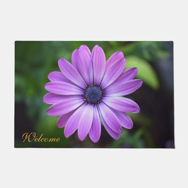 Tapete Porta de Osteopermum Roxo (Frente)