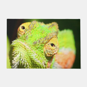 Tapete Porta do Chameleon