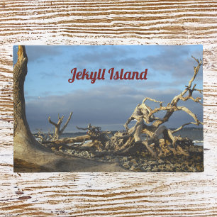 Tapete Praia de Driftwood na Ilha de Jekyll Doormat