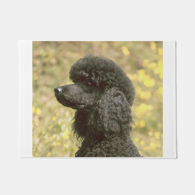 Tapete preto da caniche (Frente)