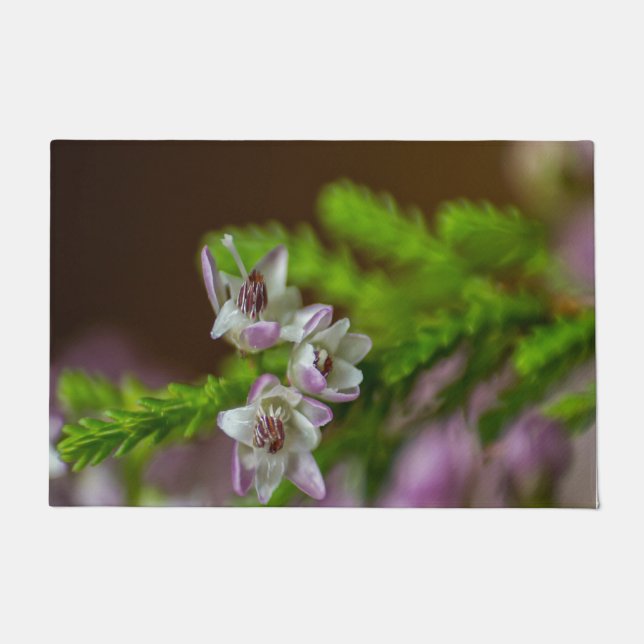 Tapete Primavera de Heather flor verde florescente branco (Frente)