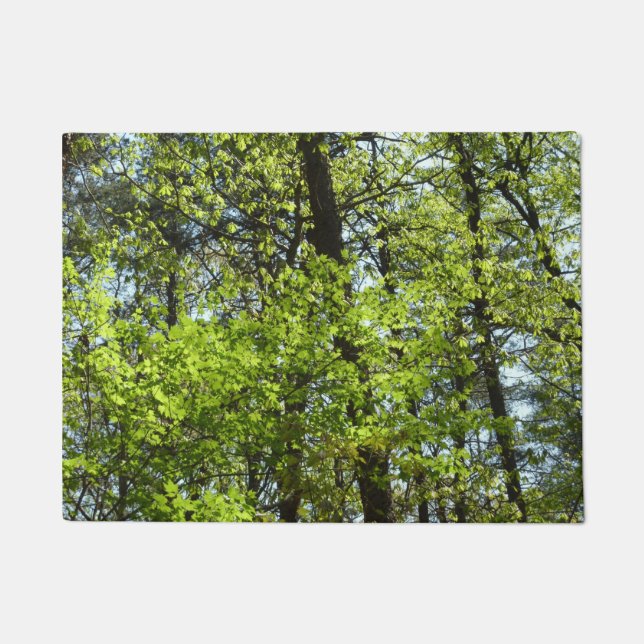 Tapete Primavera Maple Deixa a natureza (Frente)