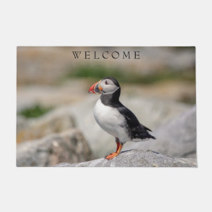 Tapete Puffin Atlântico em Machias, Maine