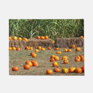 Tapete Pumpkins, Milho e Fotografia de Colheita de outono