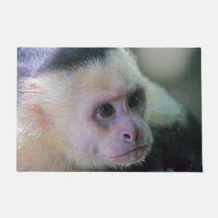 Tapete Pura vida para macaco-prego