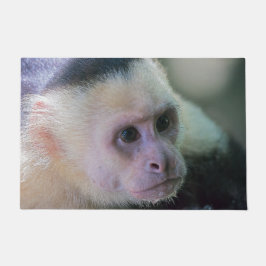 Tapete Pura vida para macaco-prego branco