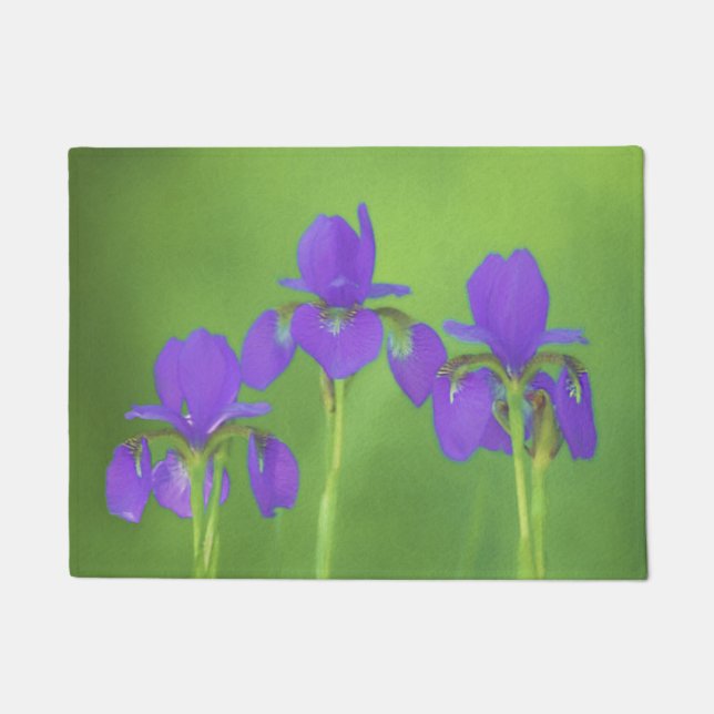 Tapete Púrpura Iris - Arte Flor Original (Frente)