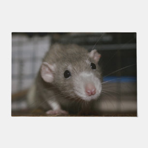 Tapete Rato curioso