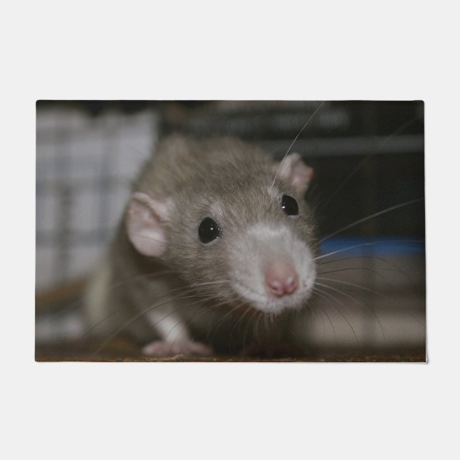 Tapete Rato curioso (Frente)