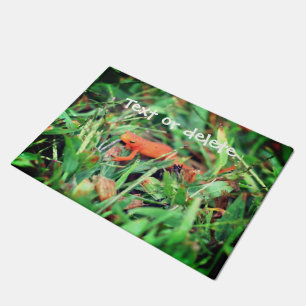 Tapete Red Eft Orange Salamander Nature Personalizado