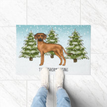 Rhodesian Ridgeback Com Nome Floresta de Inverno N