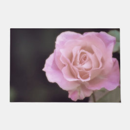 Tapete Rosa rosa magnífica