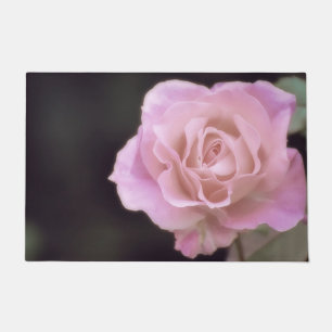 Tapete Rosa rosa magnífica