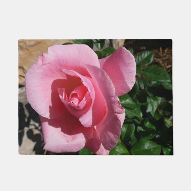 Tapete Rosa Rosa Rosa Rosa III Jardim Floral (Frente)