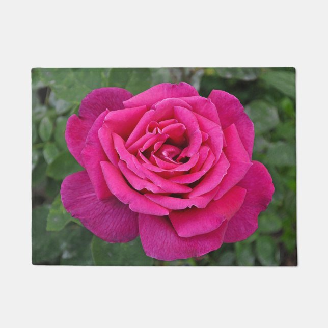 Tapete rosa-rosa-solteiro (Frente)