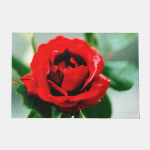 Tapete Rosa vermelha Love