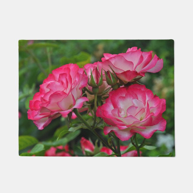 Tapete Rosas rosadas (Frente)