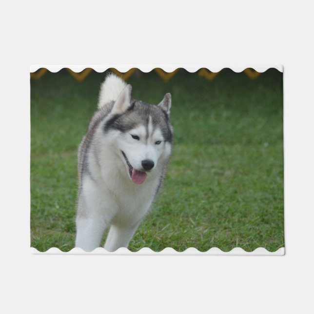 Tapete Rouco Siberian bonito (Frente)