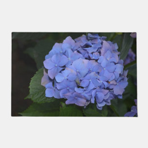 Tapete Roxo Roxo Hidrangea macrofilla