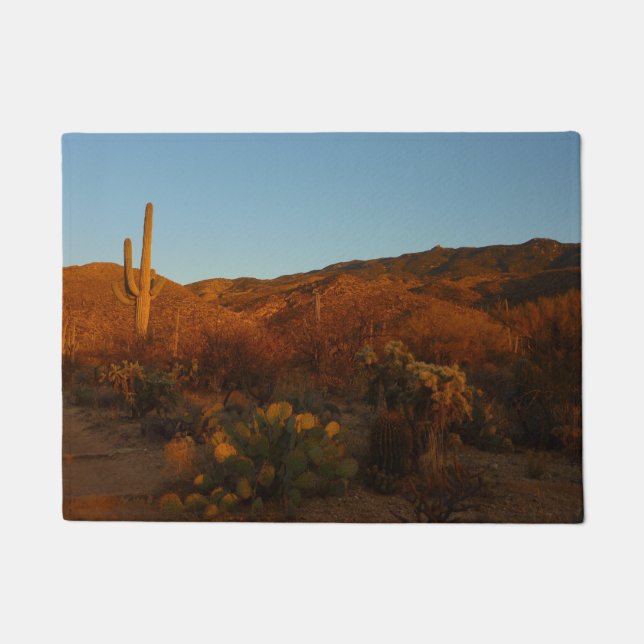 Tapete Saguaro Sunset I Arizona Desert Landscape (Frente)