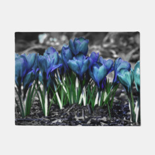 Tapete Sangue de Crocus Azul Aqua
