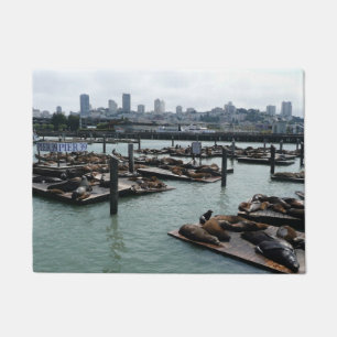 Tapete São Francisco e Pier 39 Sea Lions City Skyline