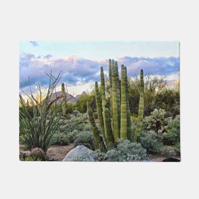 Tapete Scottsdale Succulent Sunset (Frente)