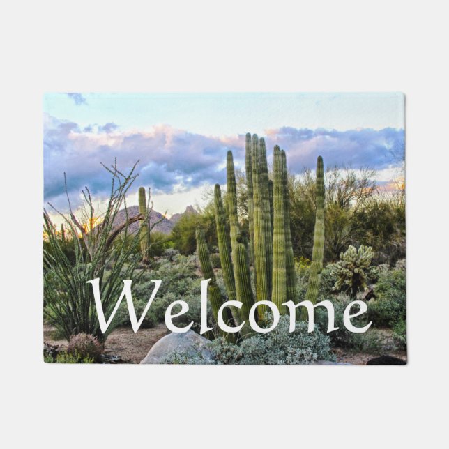 Tapete Scottsdale Succulent Sunset (Frente)