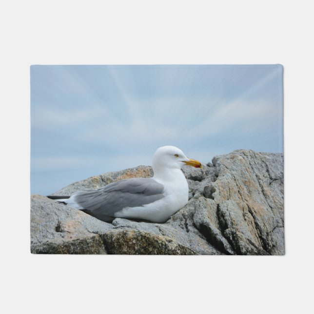 Tapete Seagull Beachy (Frente)