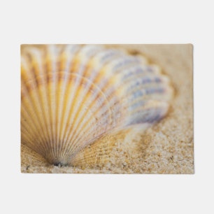 Tapete Seashell doce
