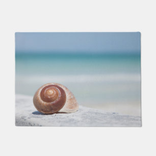 Tapete Seashell St Petersburg, Florida