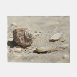 Tapete Seashells na areia pelo mar