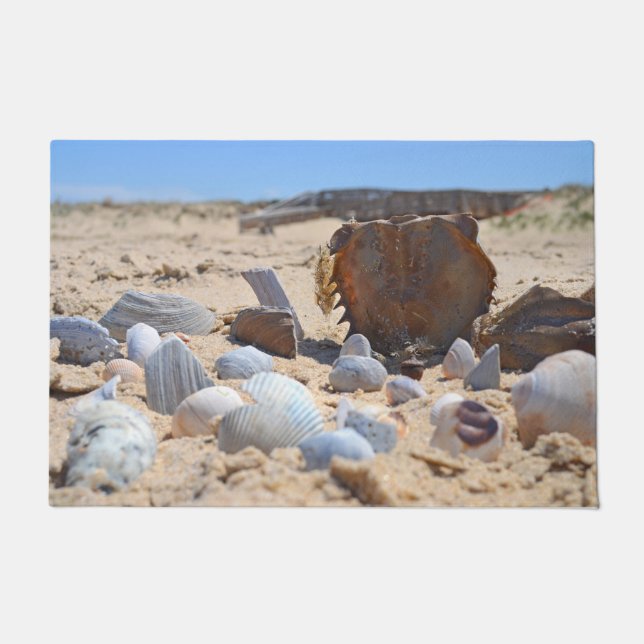 Tapete Seashells On Beach por Shirley Taylor (Frente)