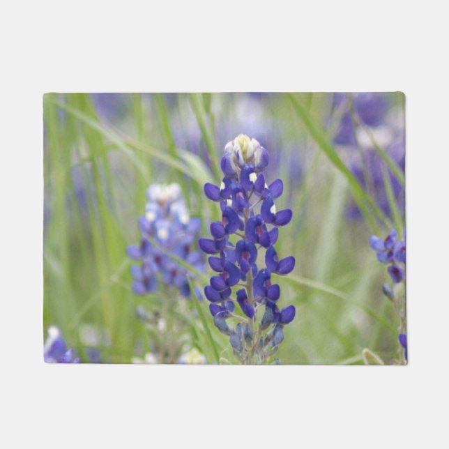 Tapete Série SJefferson Texas Bluebonnets nº 1 (Frente)