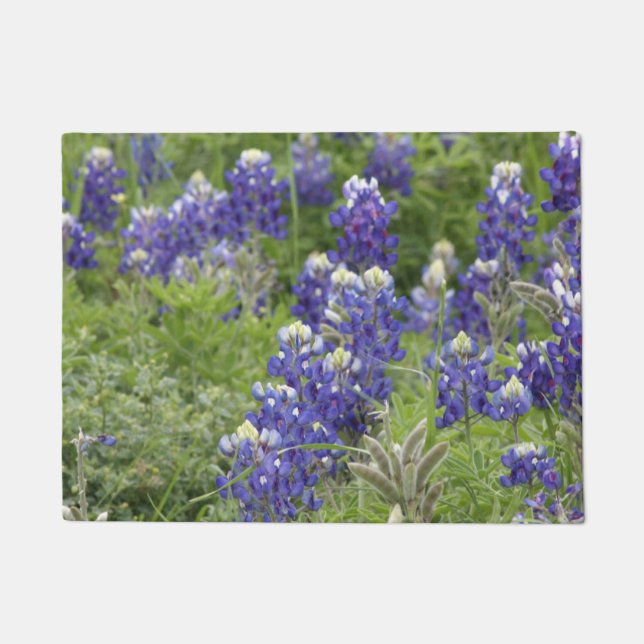 Tapete Série SJefferson Texas Bluebonnets nº 2 (Frente)