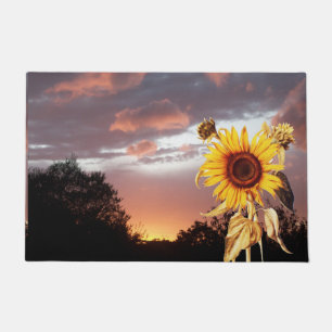 TAPETE SFLOWERS E SUNSET DE VERÃO COM NUVENS DE PINCO