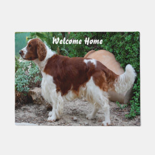Tapete Springer Spaniel