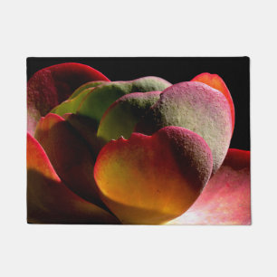 Tapete Succult Desert Plant