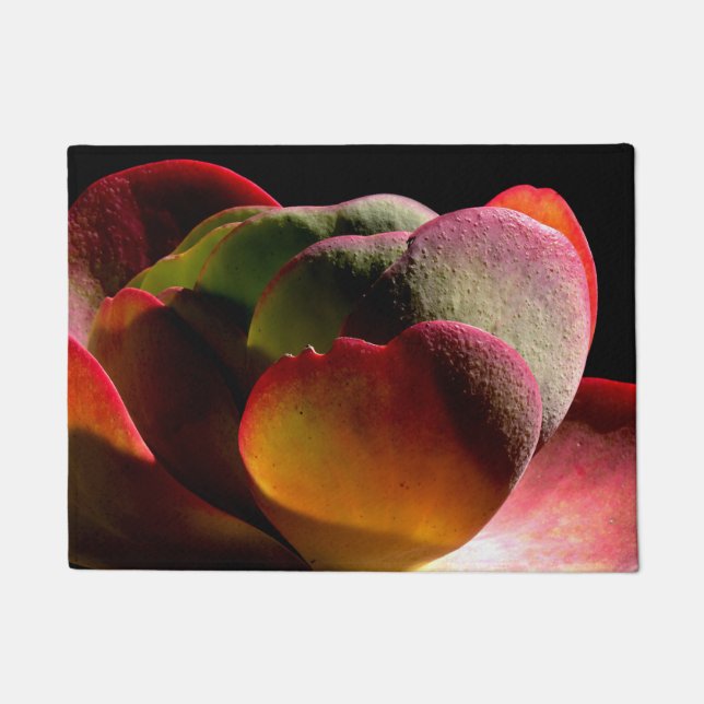 Tapete Succult Desert Plant (Frente)