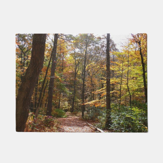 Tapete Sunlit Fall Trail no Parque Estadual de Laurel Hil (Frente)