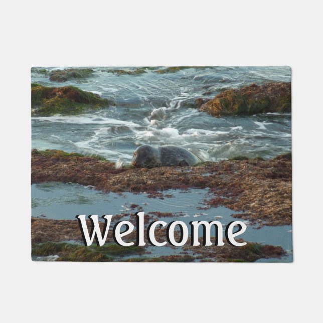 Tapete Sunset Lit Harbor Seal I em San Diego (Frente)