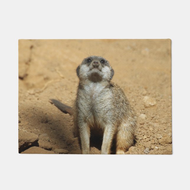 Tapete Suricata 031 (Frente)