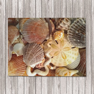 Tapete Tema da praia do dólar de areia dos Seashells
