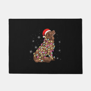 Tapete Terra Nova - Luz de Natal   Sobrenome De Cães