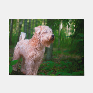 Tapete Terrier Wheaten.