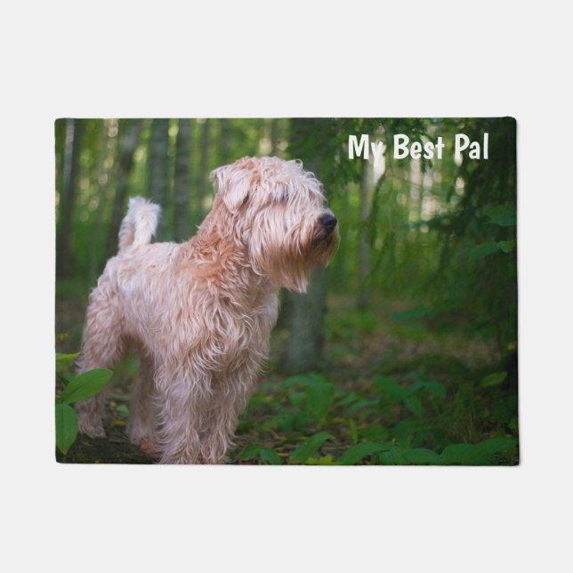 Tapete Terrier Wheaten. (Frente)