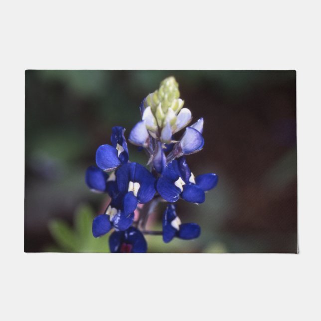 Tapete Texas Bluebonnet Door Mat (Frente)