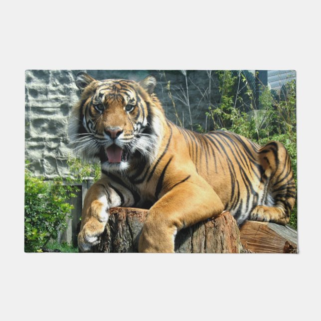 Tapete Tigre (Frente)